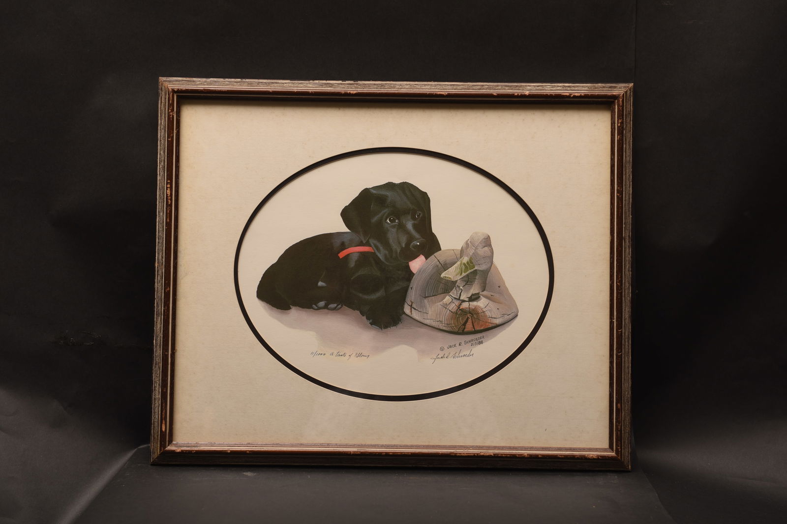 First Retrieve (Jack Schroeder) (1 of 1)