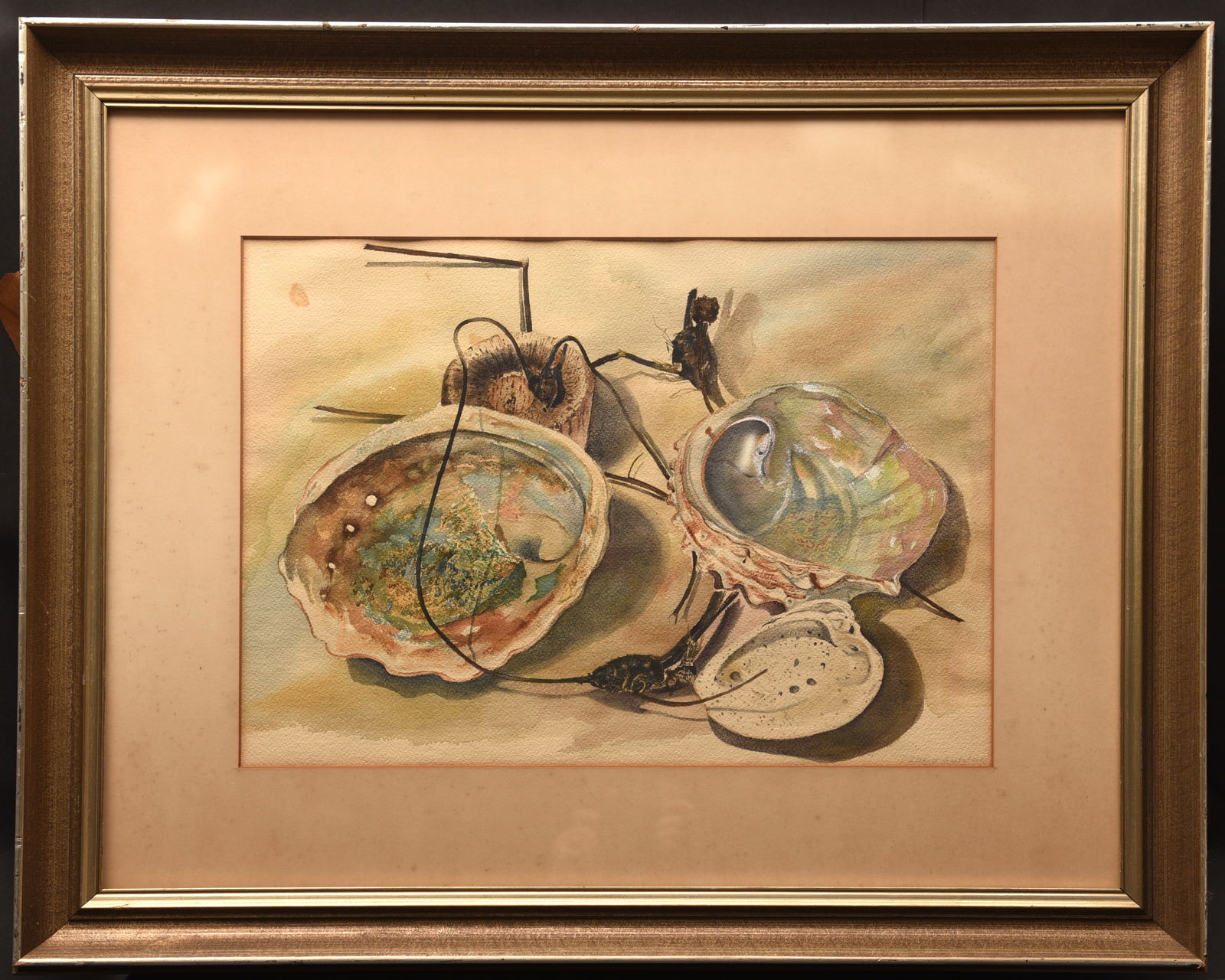 Seashell Still Life: This intriguing watercolor painting, measuring 28" x 34", presents a unique still life composition featuring a collection of seashells and delicate insect specimens. The artist's close observation