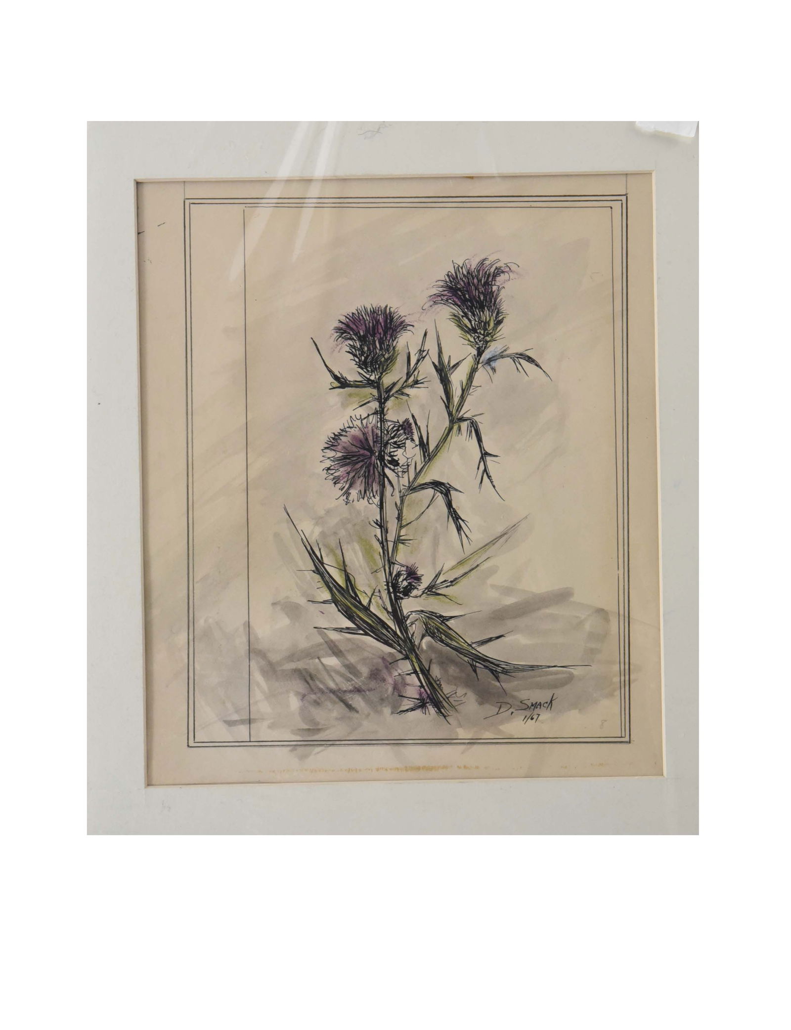 Purple Thistles in Bloom.Dimensions: 11" x 14": This original 1967 botanical illustration depicts a cluster of wild thistles in a style characteristic of mid-to-late 20th-century expressive realism. The artist, D. Smack, utilizes a masterful "pen