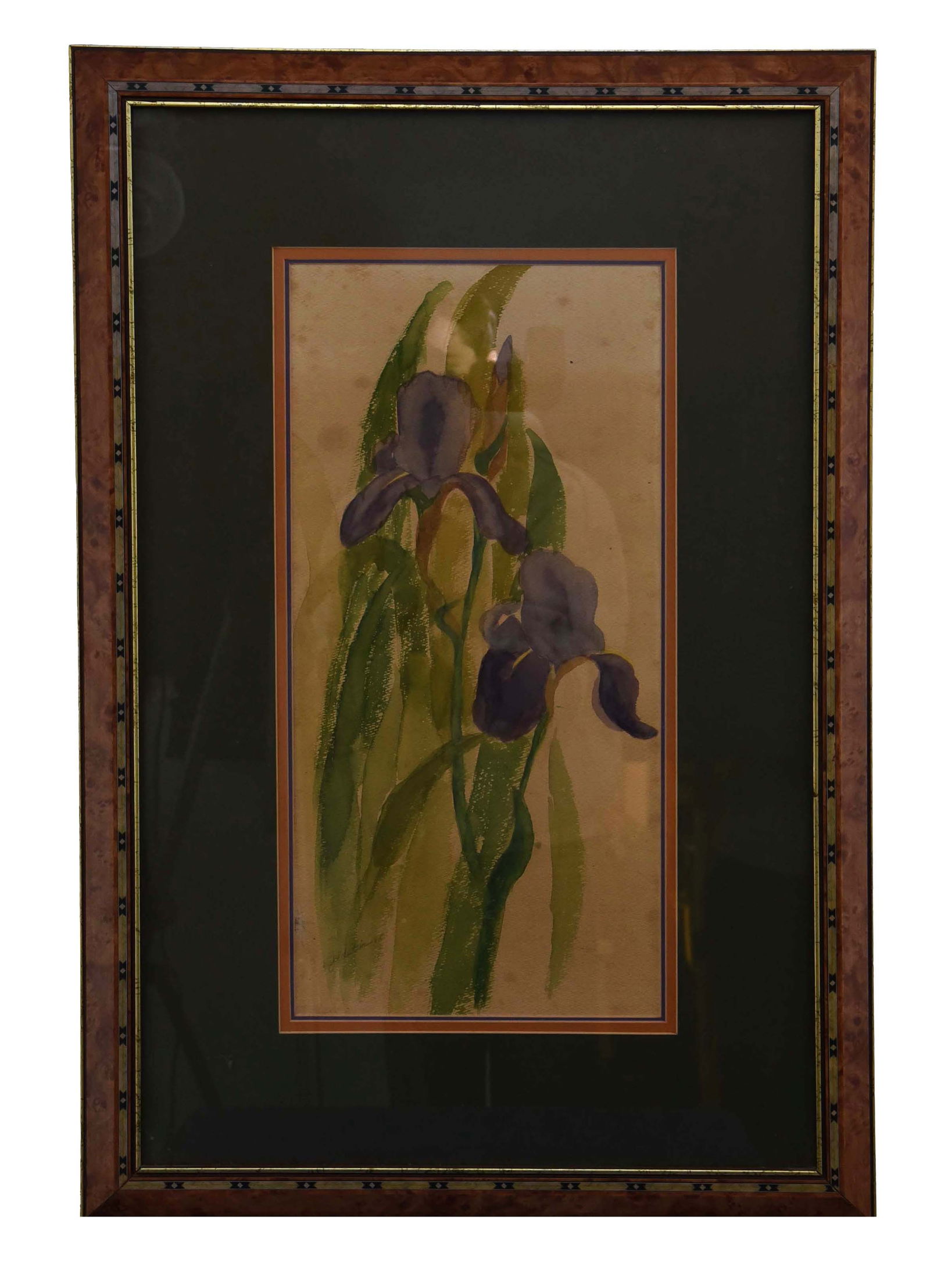 Vibrant Purple Irises (Watercolor Painting): This framed watercolor painting beautifully captures the essence of two blooming purple irises amidst lush green foliage. The artist has utilized the translucent quality of watercolor to create a