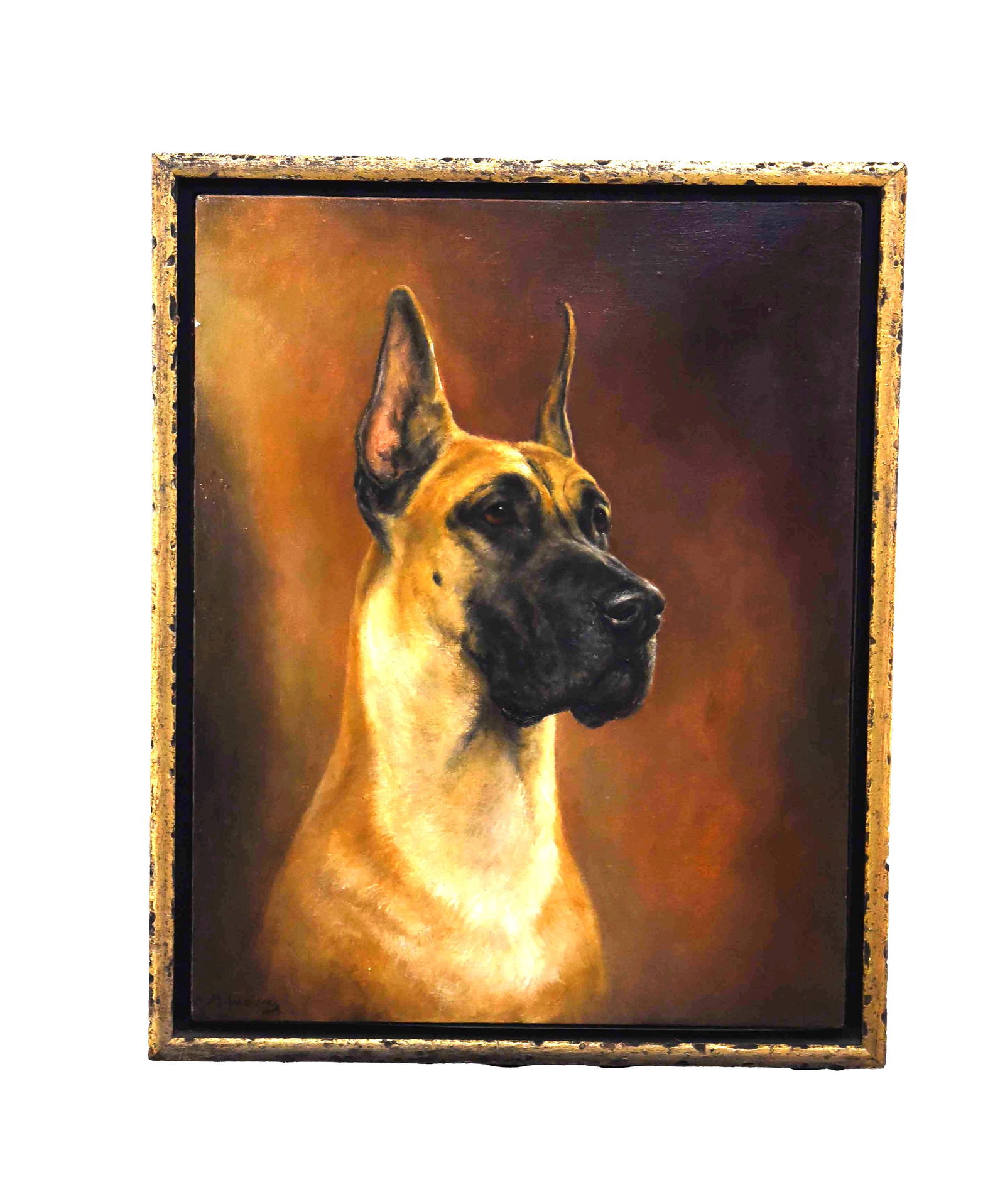 Regal Gaze: Oil On Canvas Portrait of a Great Dane" (1 of 1)
