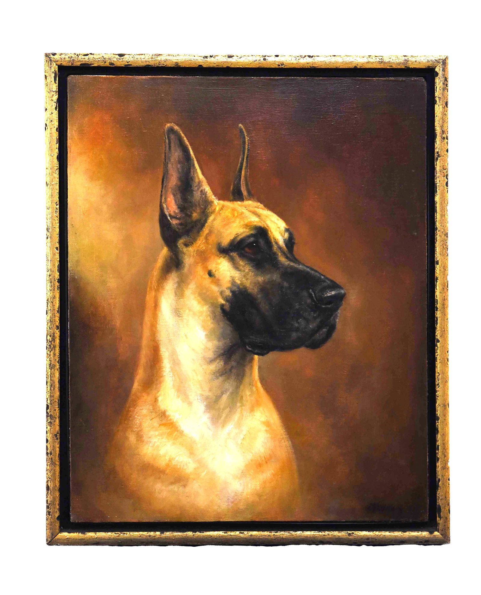 Noble Sentinel: Oil On Canvas Great Dane Portrait" (1 of 1)
