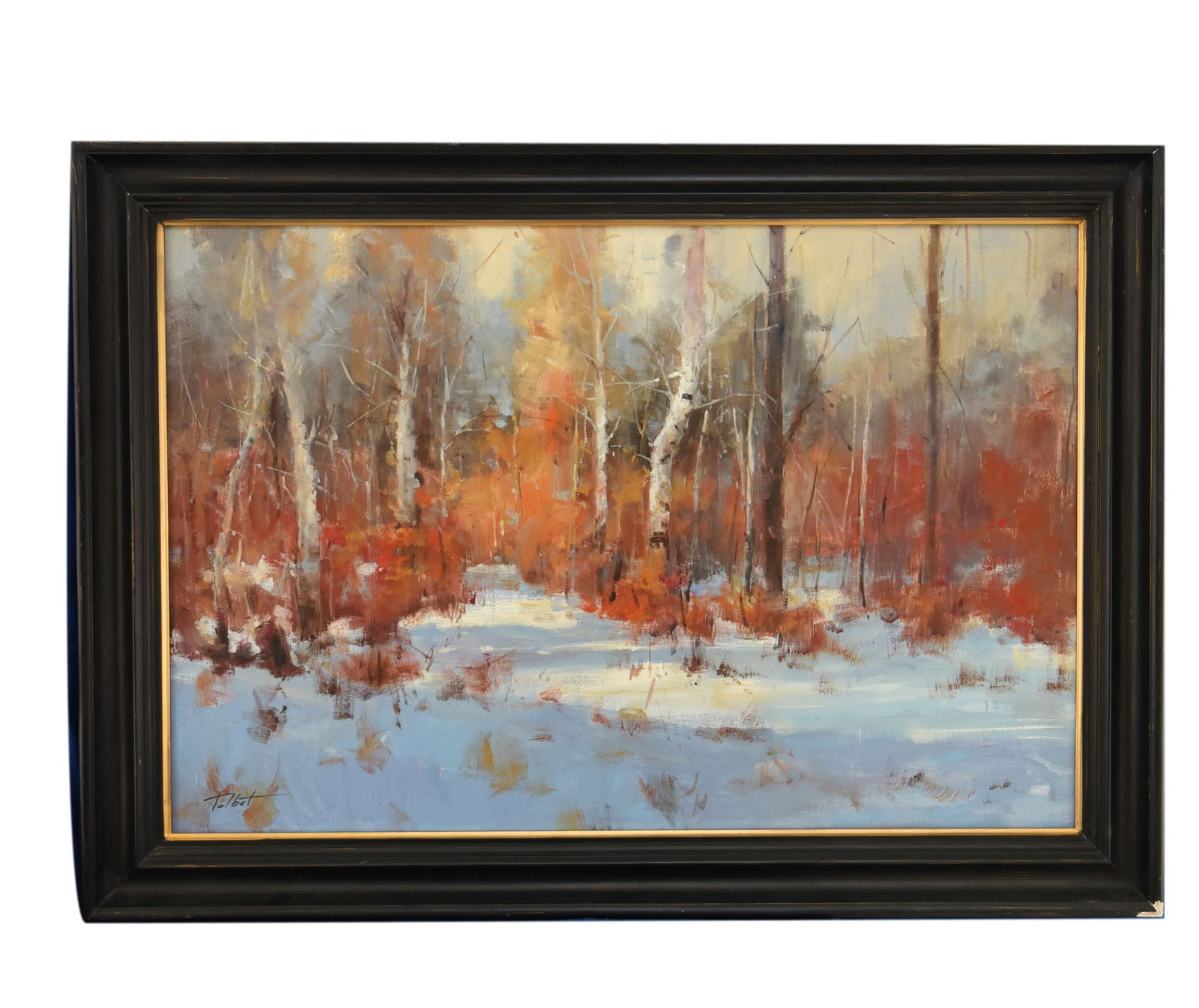 Winter Woods Glow,Oil On Canvas, By Tolbot: This captivating oil on canvas by Tolbot depicts a serene winter woodland scene, bathed in the soft, diffused light of a late afternoon or early morning. Bare birch trees with their distinctive white