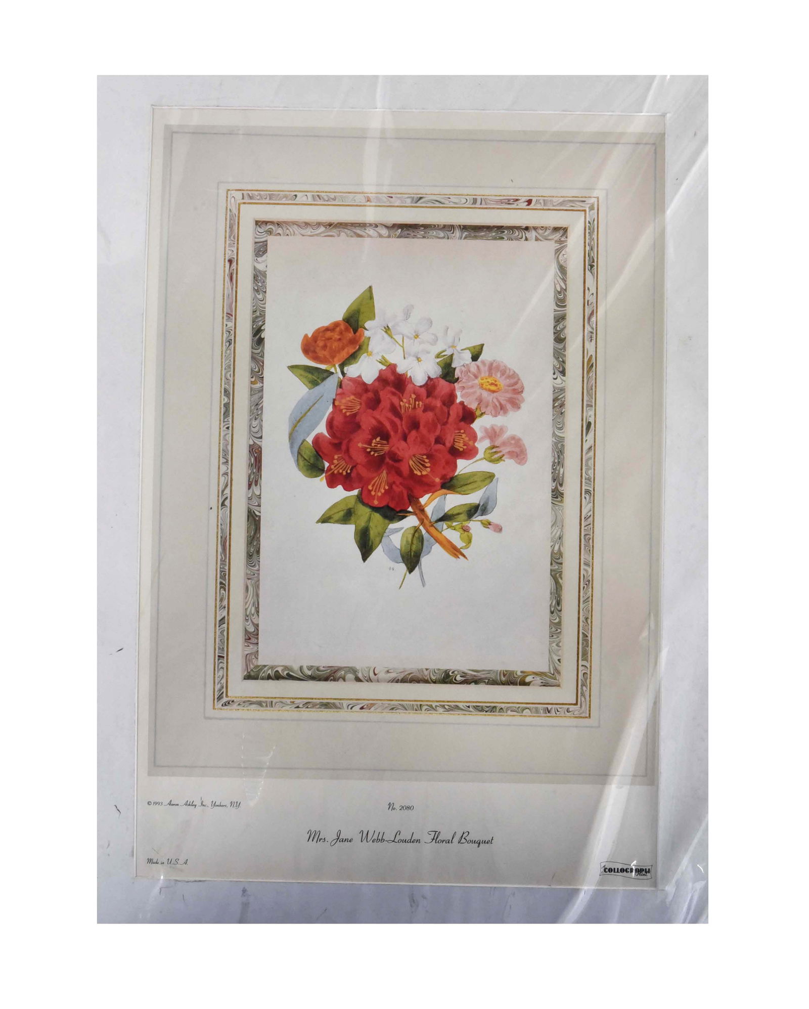 Mrs. Jane Webb-Loudon Floral Bouquet Lithoprint: This is a beautiful lithograph of a floral bouquet, featuring vibrant red rhododendrons, delicate white and pink flowers, and lush green leaves, all tied with a blue ribbon. The artwork is presented w