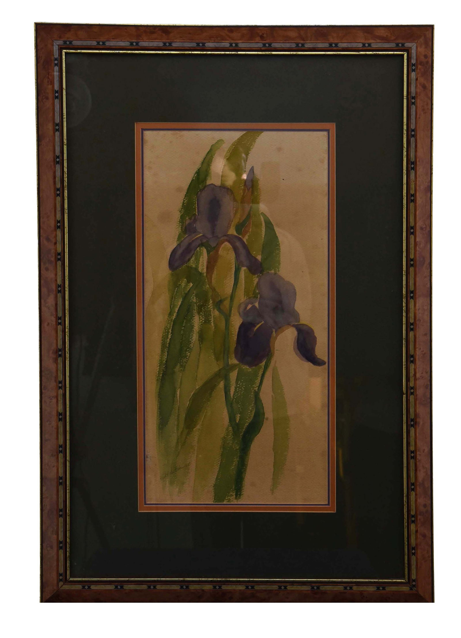 Vibrant Purple Irises (Watercolor Painting): This framed watercolor painting beautifully captures the essence of two blooming purple irises amidst lush green foliage. The artist has utilized the translucent quality of watercolor to create a soft