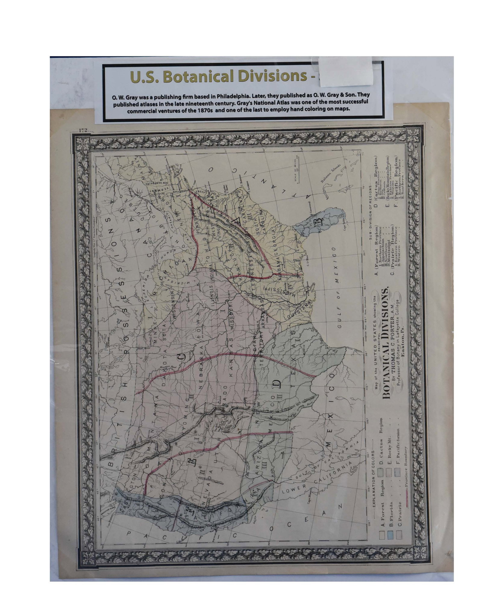 Antique O.W. Gray's 1870s U.S. Botanical Divisions Map (16" x 19"): This captivating antique map, measuring 16" x 19", illustrates the "Botanical Divisions" of the United States. It was originally published by O.W. Gray & Son, a prominent Philadelphia-based publishing