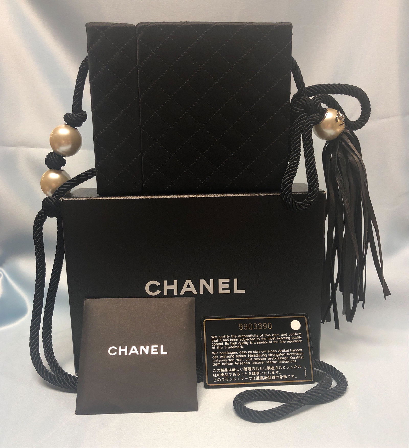 Chanel Purse (1 of 8)