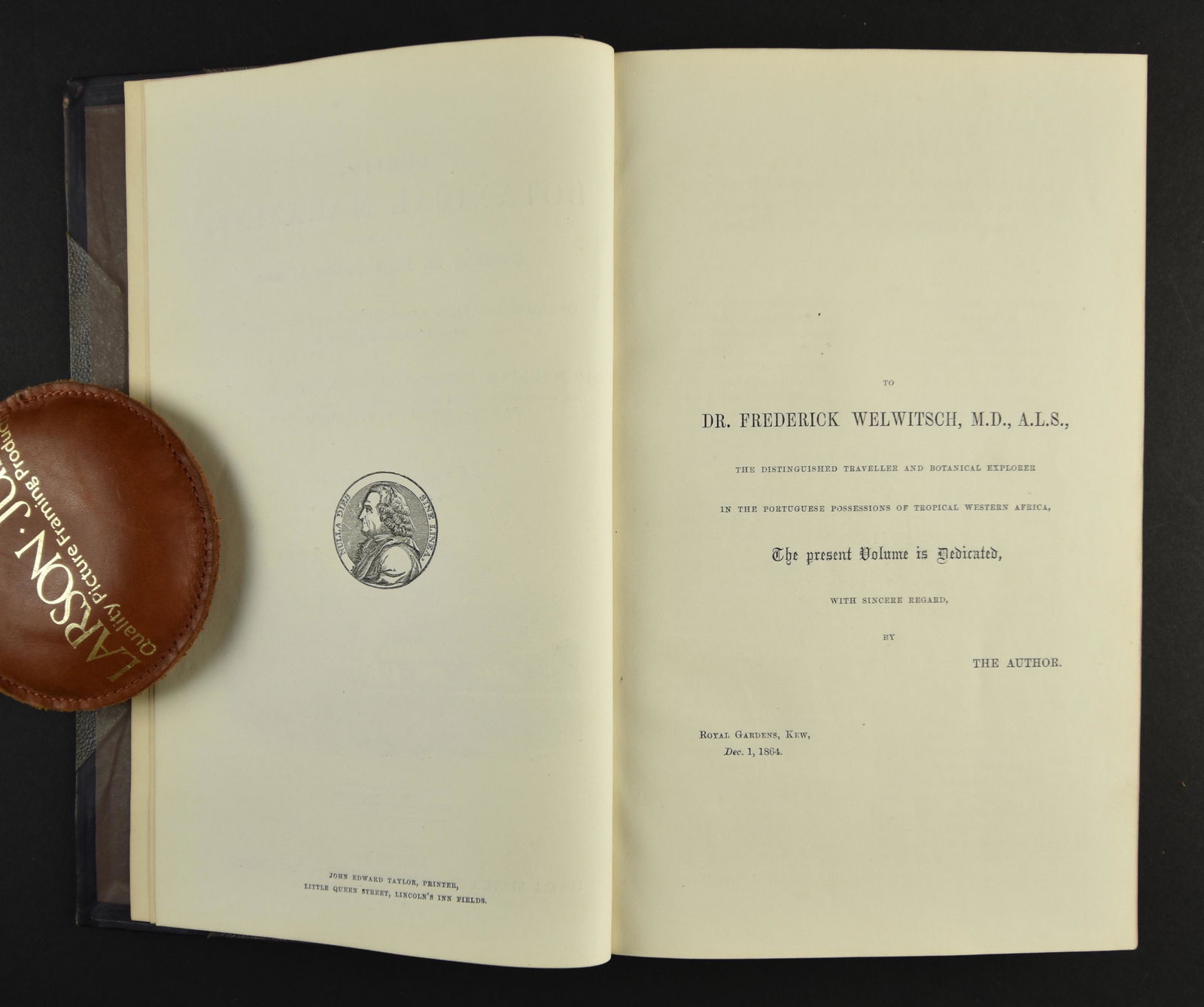 Curtis’s Botanical Magazine Volume 20 1864 (1 of 12)