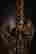 item-121180491=10