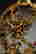item-128415438=7