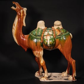 Chinese Tang Dynasty tri-colored camel