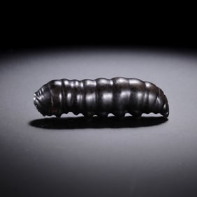 Jade Silkworm of the Warring States Period of China