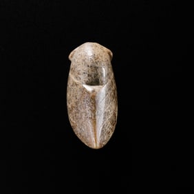 Chinese Han Dynasty Jade Cicada