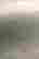 item-123301905=2