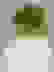 item-6153405=4