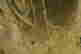item-95695604=6