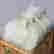 item-101899858=3