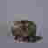 item-107825446=5