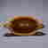 item-113115909=8