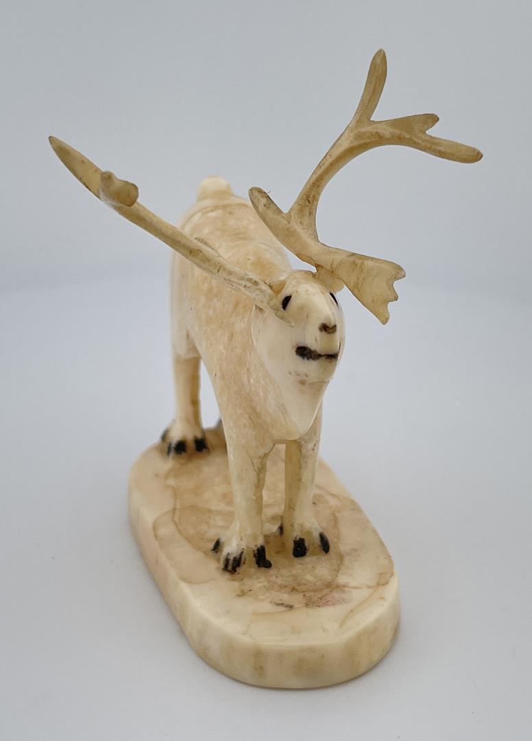 Alaskan Inuit Eskimo Caribou Carving: Removable horns. Made from Walrus Tusk. 2.25" long.