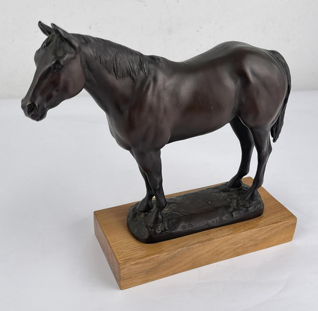 AQHA Champion Quarter Horse George Phippen (1 of 13)