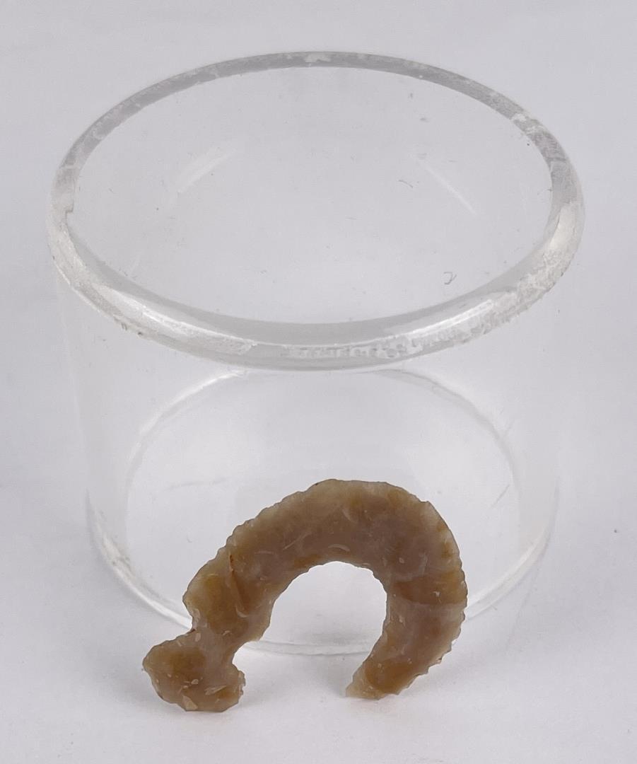 Indian Arrowhead Flint Fish Hook (1 of 5)