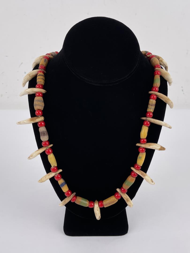 Plains Indian Coyote Tooth Necklace: Very Nice. Trade Bead and Coyote Teeth.