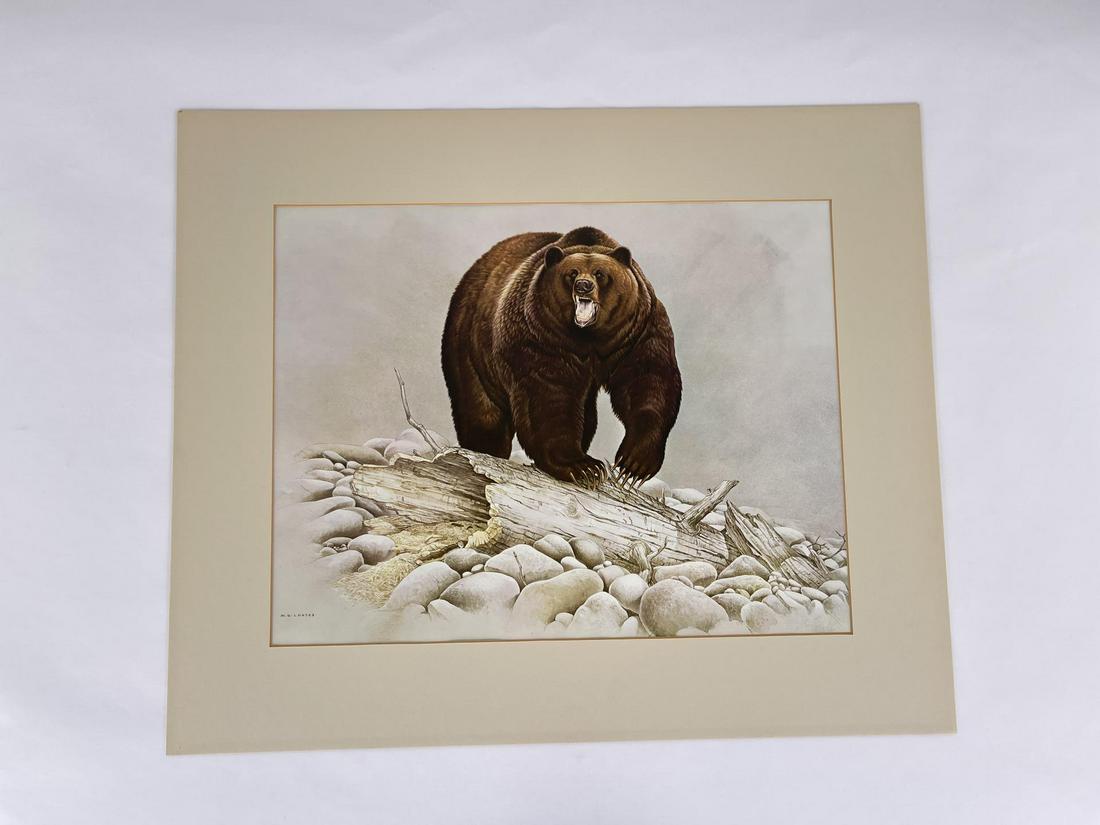 Martin Glen Loates Grizzly Bear Print (1 of 4)