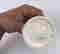 item-136780059=6