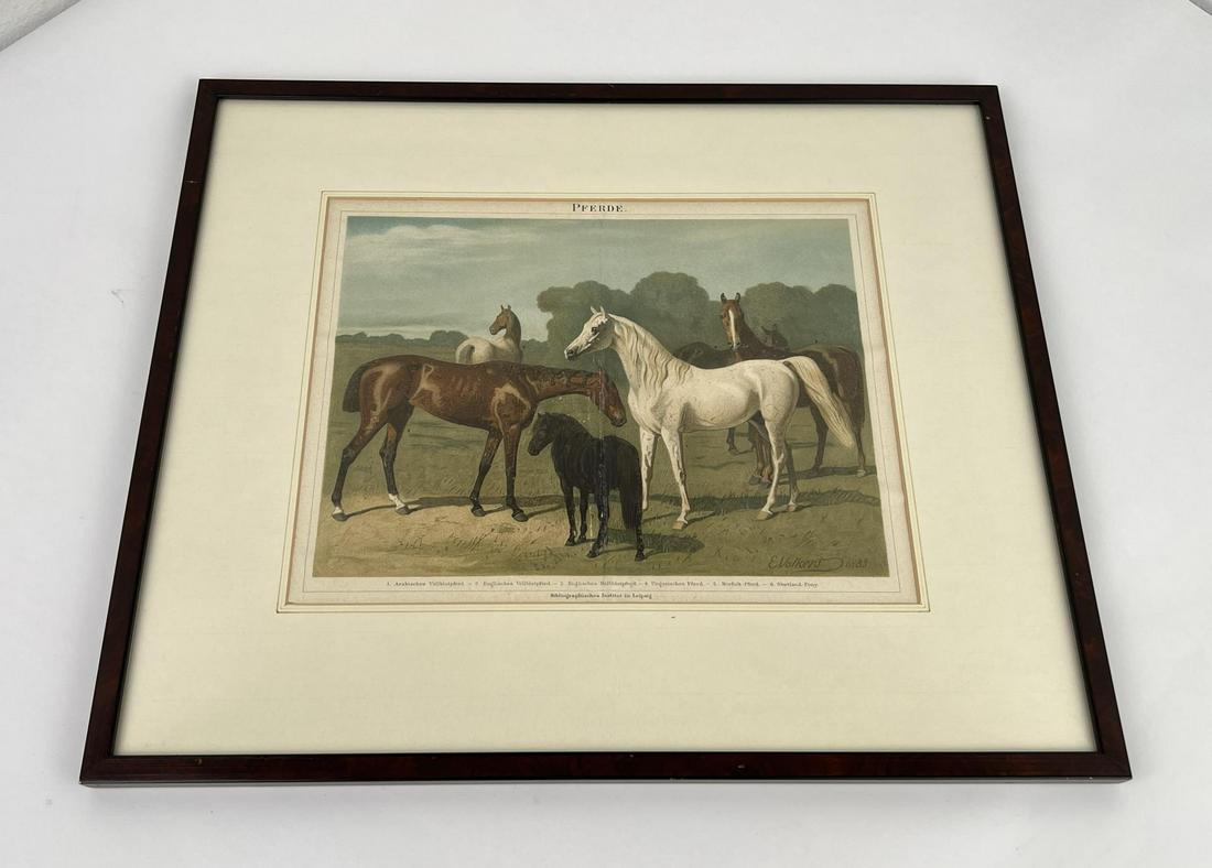 Emil Volkers Horse Breeds Print Montana History: As acquired from Marcus Daly's Tammany Mansion Estate in Hamilton Montana. Original Chromolithograph 1892. 13 3/4" by 15 3/4" framed.