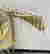 item-136794450=11
