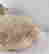 item-136795001=13
