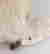 item-136795001=16