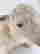 item-136795001=20