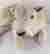 item-136795001=2