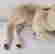 item-136795001=3