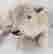 item-136795001=7