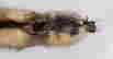 item-136795190=6