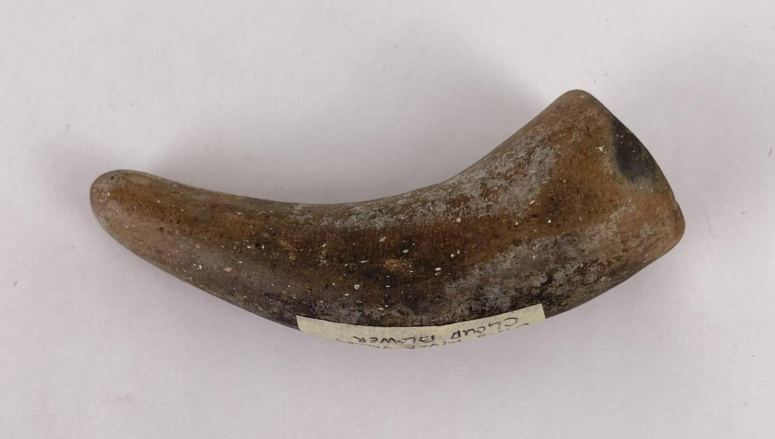 Cloud Blower Indian Pipe Ohio River Valley (1 of 5)