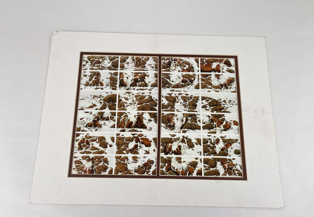 Hide and Seek Bev Doolittle Print (1 of 5)