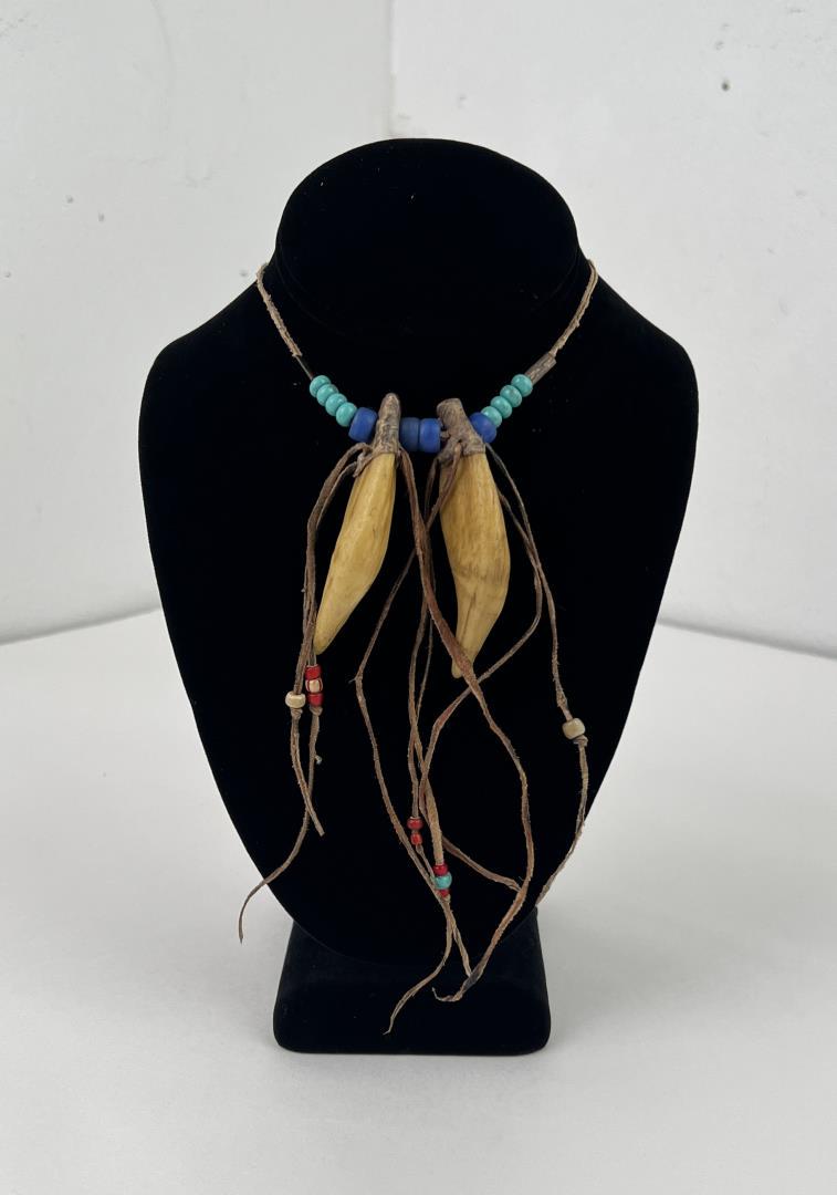 Plains Native American Indian Bear Tooth Necklace: Second half of the 20th Century. Only for sale where legal. No International Sales. Know your own laws. No sales to Alabama, California, Florida, Georgia, Mississippi, Kentucky, Massachusetts, Nebrask