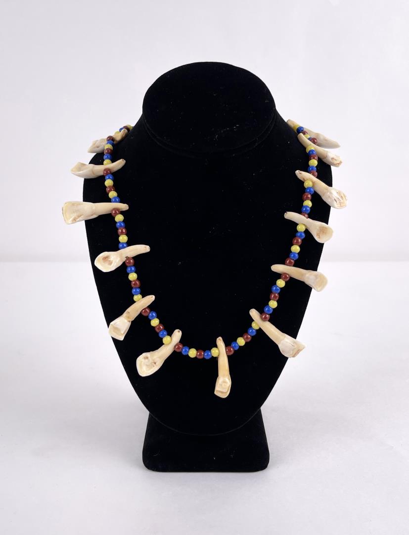 Plains Native American Indian Elk Tooth Necklace: 12" long. Allard Auction Collection Inv: HUY 21255