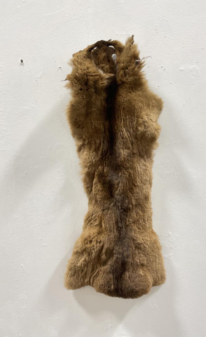 Taxidermy Marmot Pelt Hide #84: 9 1/4" by 22"