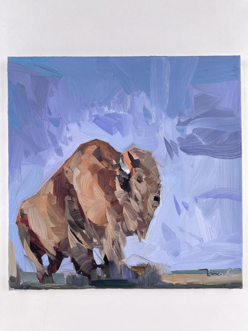 Jose Trujillo Oil Painting Buffalo: 14" by 14". Jose Trujillo (1982-Present) Tucson Arizona.