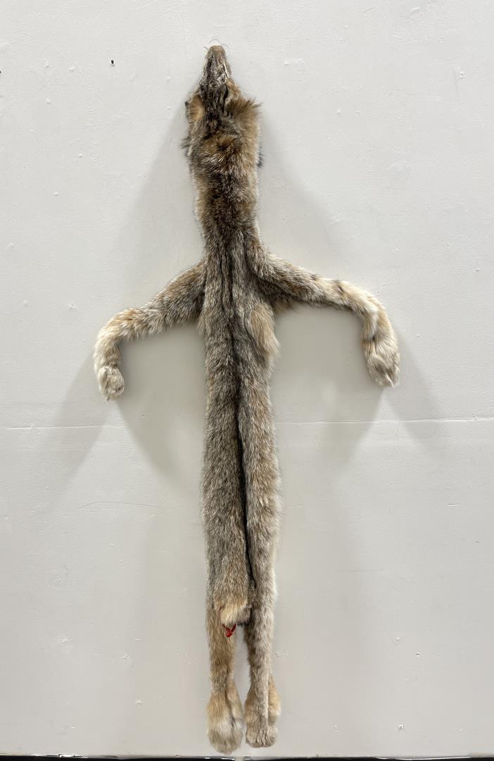 Beautiful Alaskan Lynx Fur Pelt Taxidermy #55: 63" long