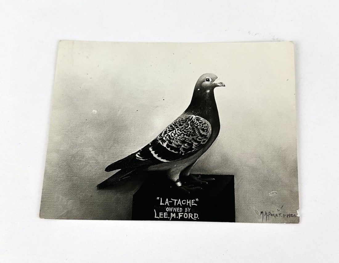 La-Tache Lee Ford Racing Pigeon RPPC Post Card (1 of 3)