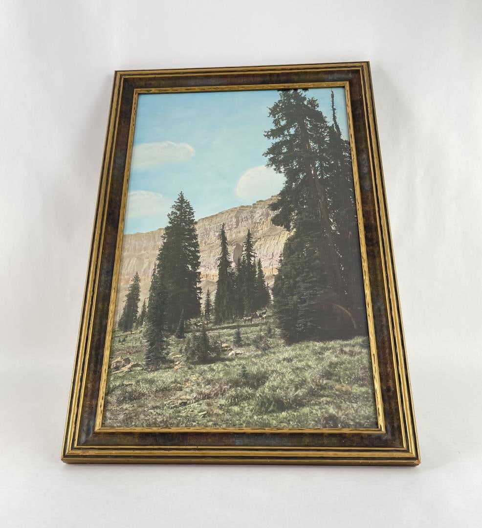 Great Falls Montana Hand Tinted Photo (1 of 3)