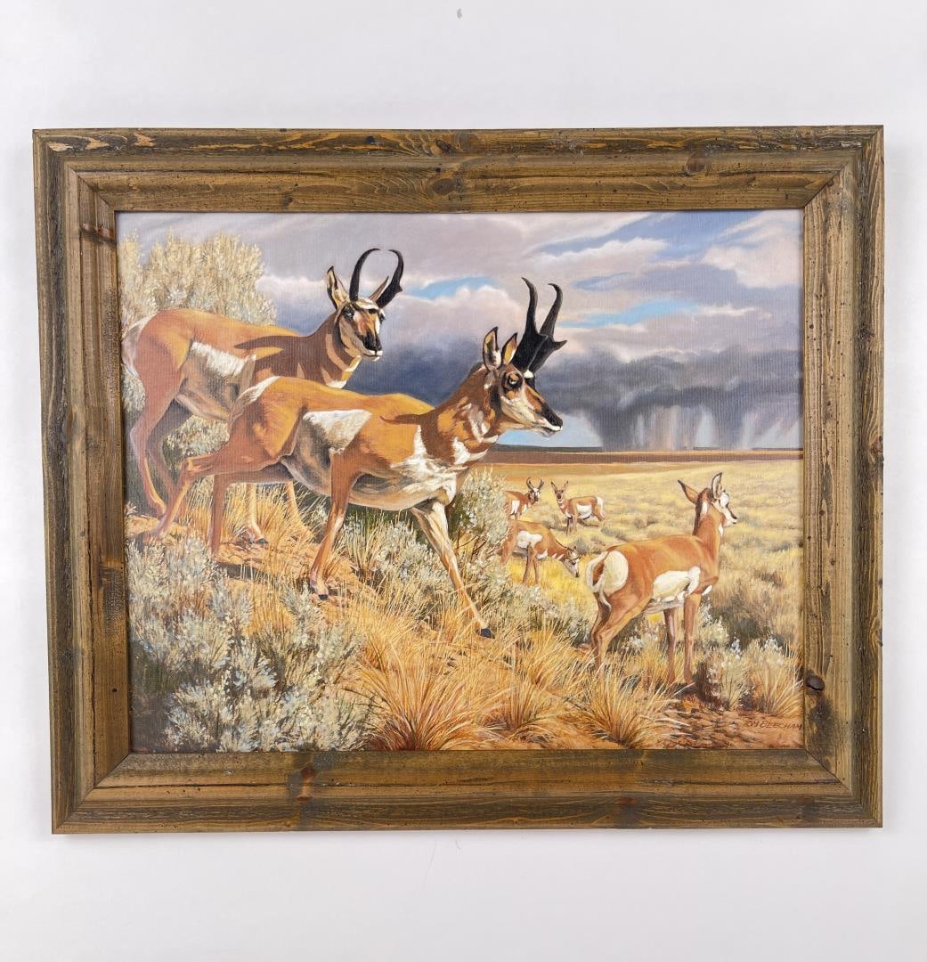 Tom Beecham Montana Antelope Print (1 of 4)