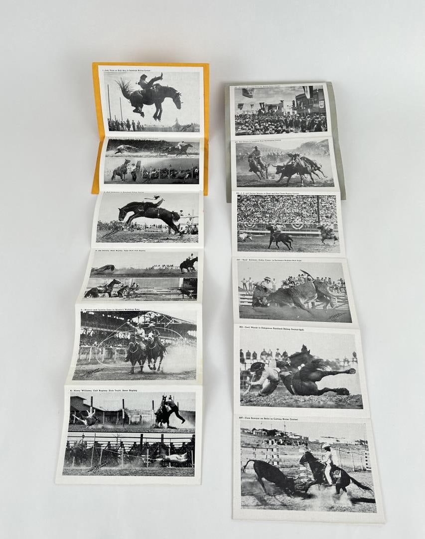 Stryker's Action Pictures Rodeo Photographs (1 of 7)