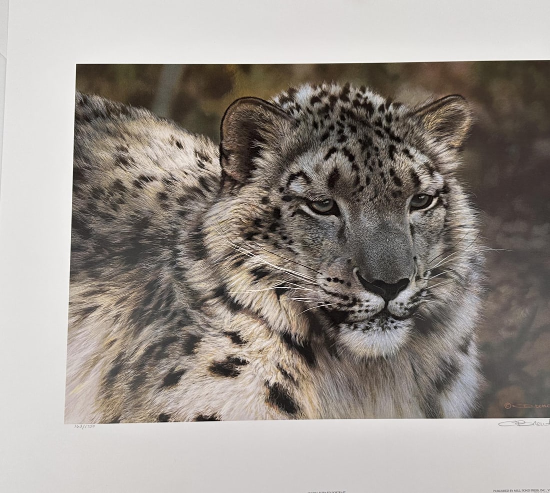 Carl Brenders Snow Leopard Portrait Limited Print: Signed and numbered. Print measures 20 1/4" by 16". 163 of 1750